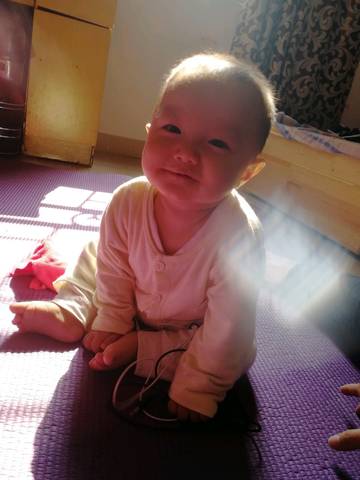 journal_insert_pic_1130186296