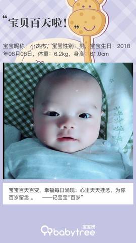 journal_insert_pic_1130222276