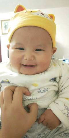 journal_insert_pic_1130770831