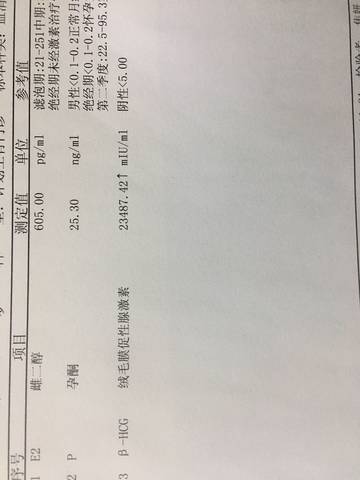 journal_insert_pic_1131352377