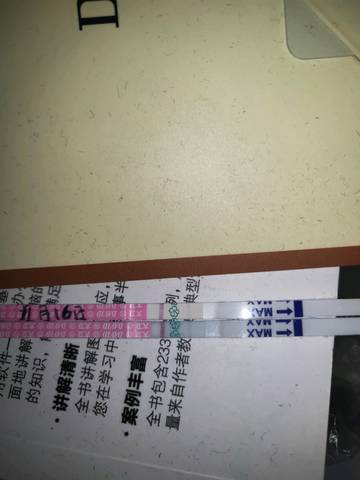 journal_insert_pic_1131497540