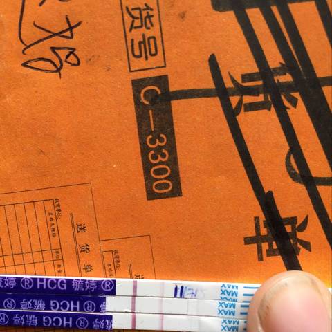 journal_insert_pic_1131275651