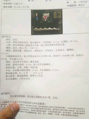 journal_insert_pic_1132255054