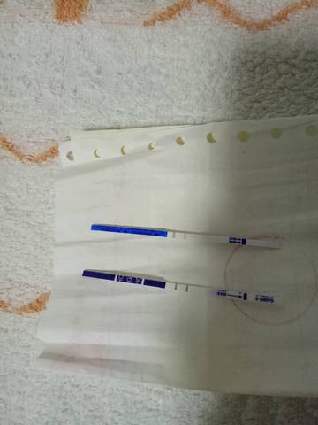 journal_insert_pic_1132115361