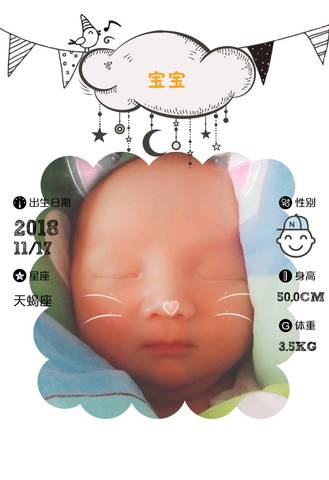 journal_insert_pic_1133736938