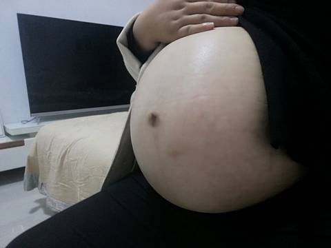 journal_insert_pic_1134035549