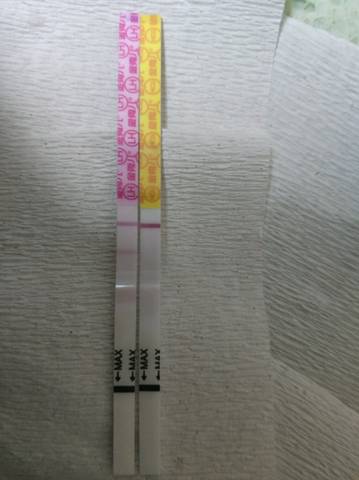 journal_insert_pic_1134036044