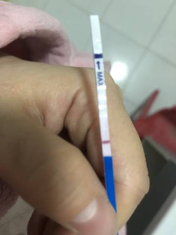 journal_insert_pic_1134689430