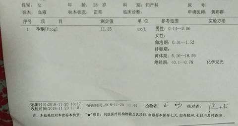 journal_insert_pic_1134937428