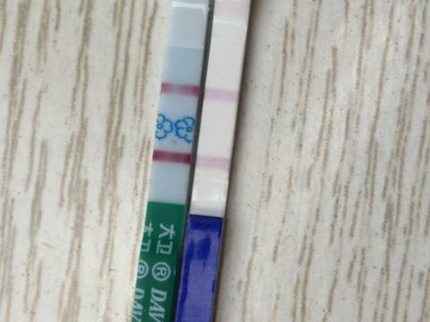 journal_insert_pic_1135329386
