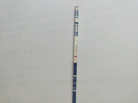 journal_insert_pic_1135019695