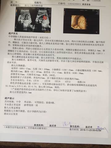 journal_insert_pic_1135129916