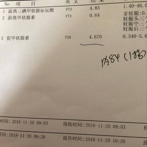 journal_insert_pic_1135158549