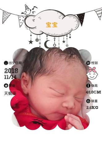 journal_insert_pic_1135532574