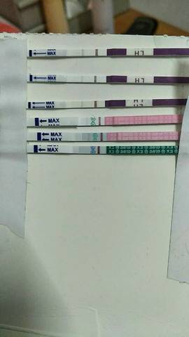 journal_insert_pic_1135730658