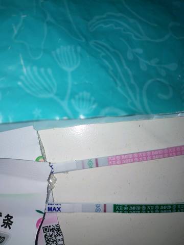 journal_insert_pic_1136688394
