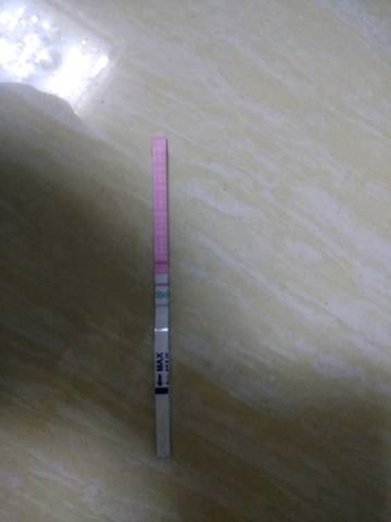 journal_insert_pic_1136955578