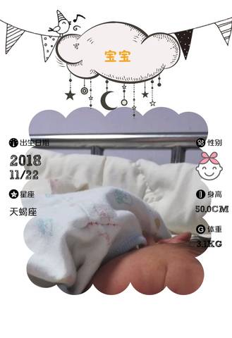 journal_insert_pic_1136593507