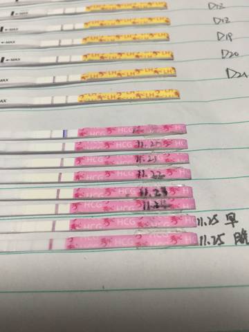 journal_insert_pic_1136832656
