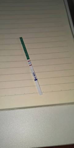 journal_insert_pic_1137343237