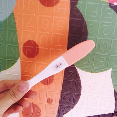 journal_insert_pic_1138306539