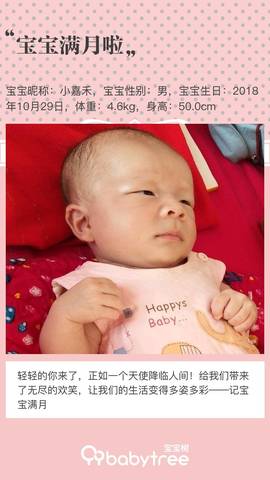 journal_insert_pic_1138058427