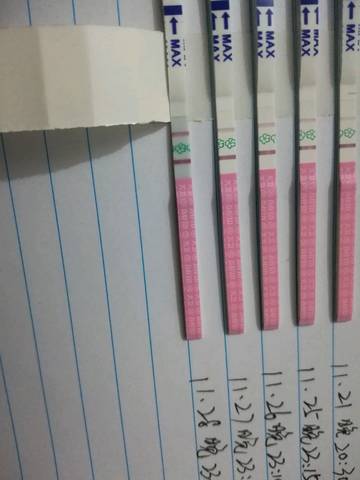 journal_insert_pic_1139316178