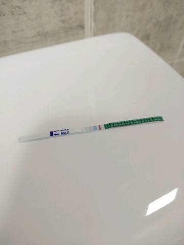 journal_insert_pic_1139047587