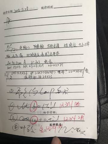 journal_insert_pic_1139151141