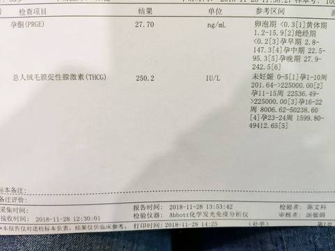 journal_insert_pic_1139518299