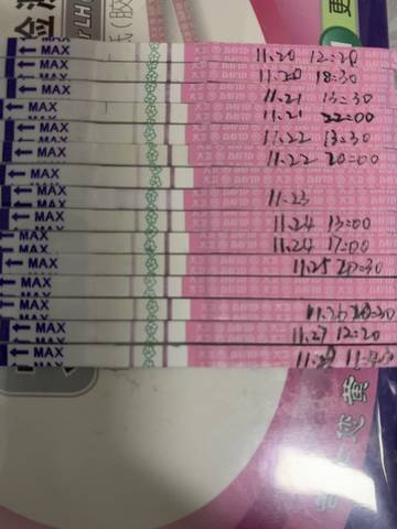 journal_insert_pic_1139902392
