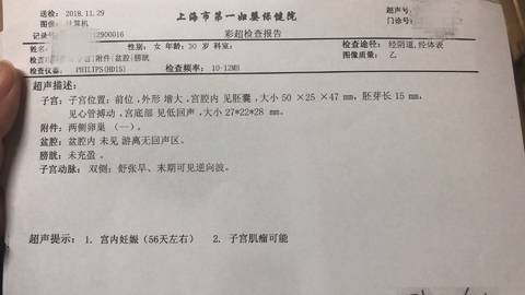 journal_insert_pic_1139525713