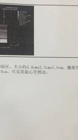 journal_insert_pic_1139749568