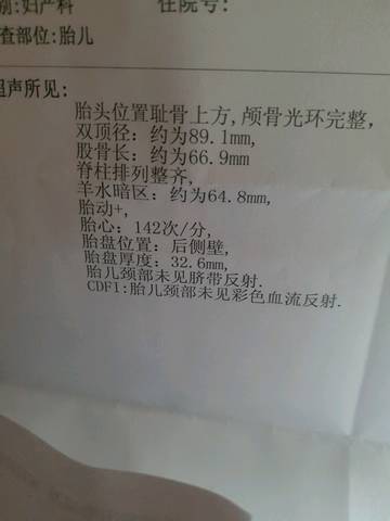journal_insert_pic_1140315653