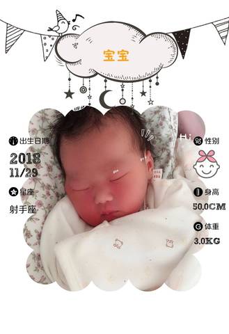 journal_insert_pic_1141582824