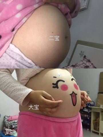 journal_insert_pic_1141568655