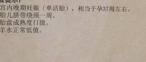 journal_insert_pic_1141743591