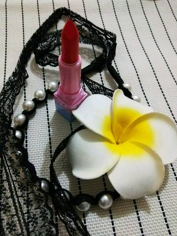 journal_insert_pic_1143531531
