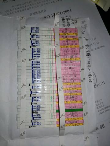 journal_insert_pic_1143777769