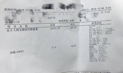 journal_insert_pic_1144390645