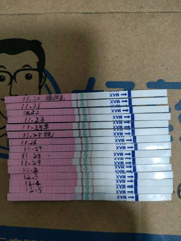 journal_insert_pic_1144544854