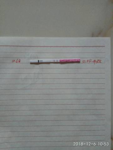 journal_insert_pic_1144194021