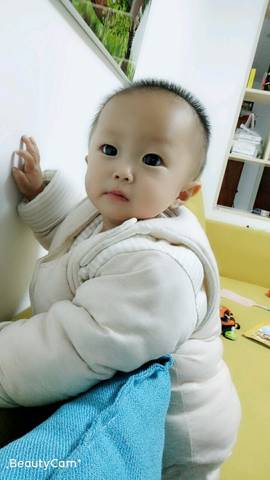 journal_insert_pic_1144181766
