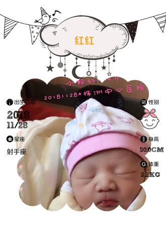 journal_insert_pic_1144130959