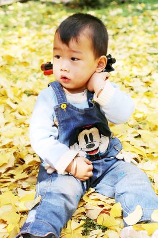 journal_insert_pic_1144900443
