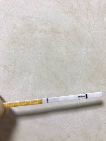 journal_insert_pic_1145067339