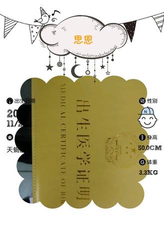 journal_insert_pic_1145065255