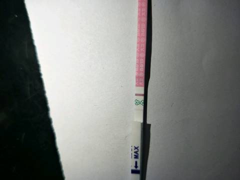 journal_insert_pic_1145792708