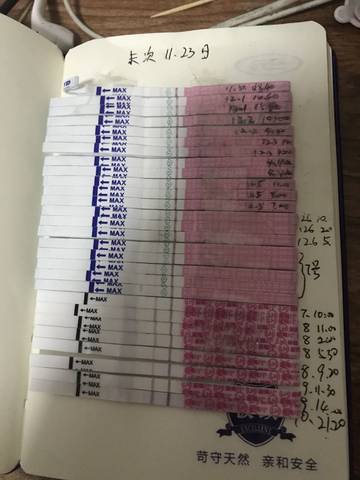 journal_insert_pic_1146496847