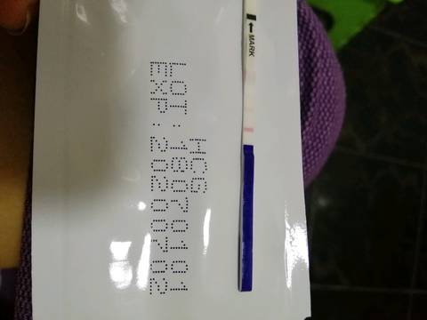 journal_insert_pic_1146176587